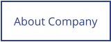 About Company