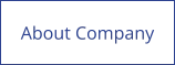About Company